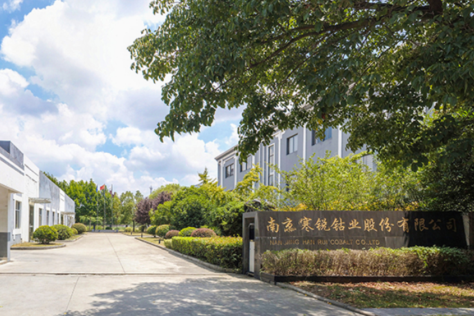 长远锂科/道氏技术募资再扩产！通用/宁德时代/雅化集团加码上游资源布局.png