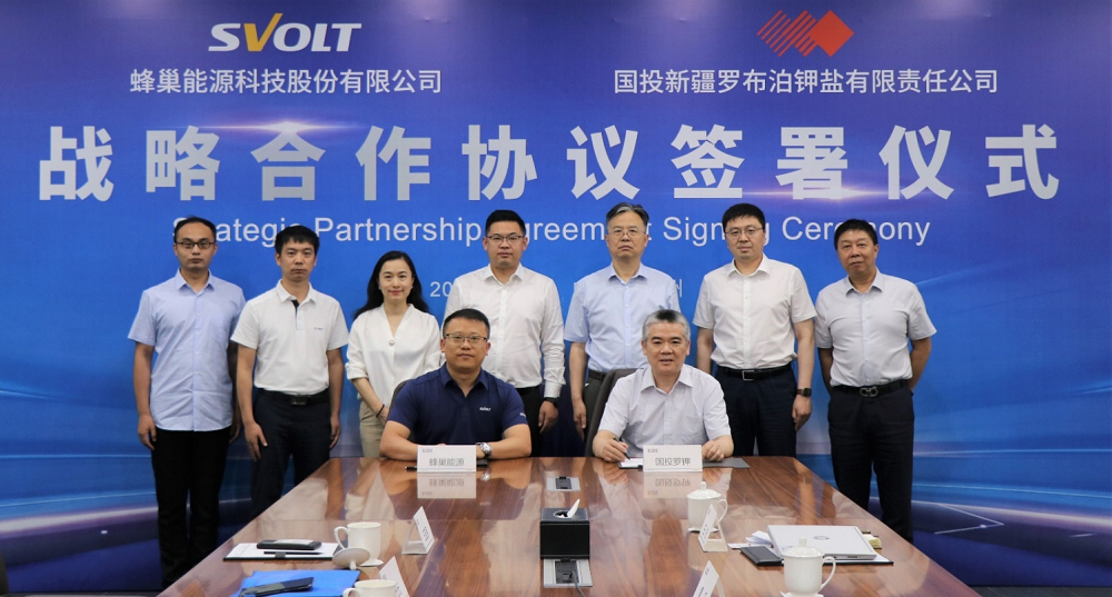 正极材料领域公司IPO提速！多家企业携手布局锂资源深加工.png