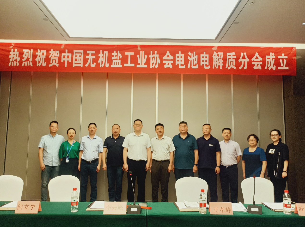 中国无机盐工业协会电池电解质分会正式成立.png