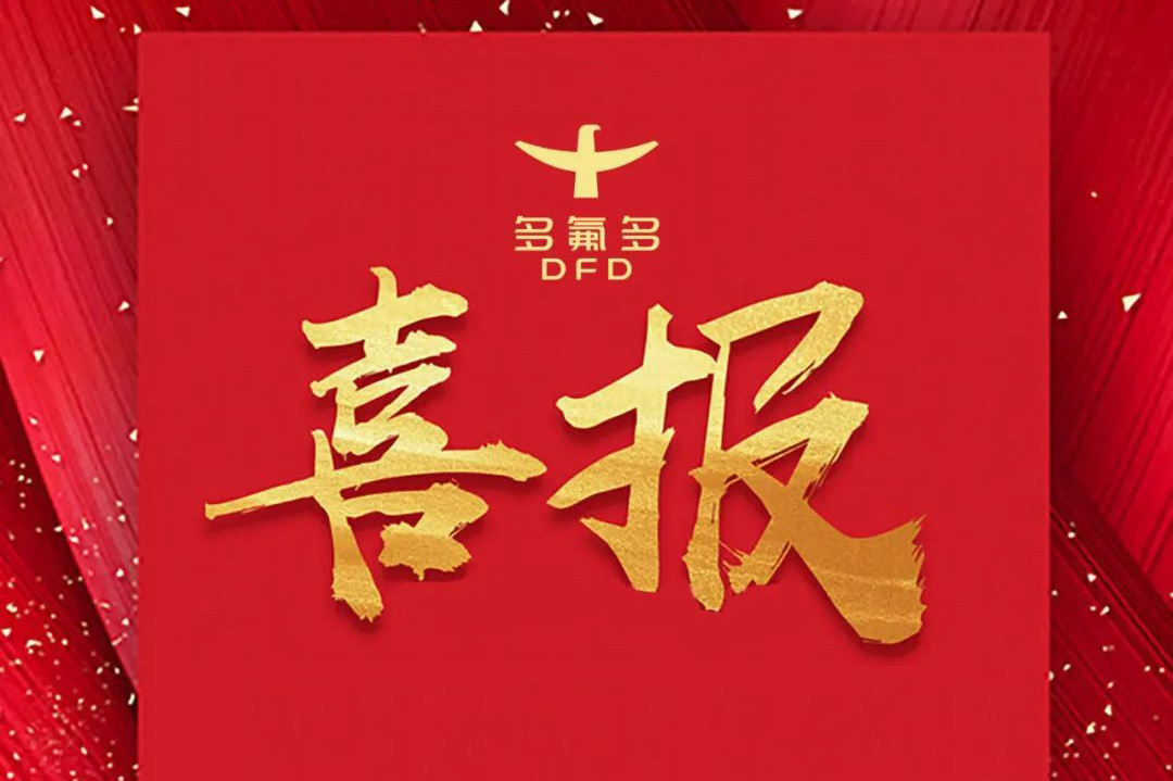 两大六氟磷酸锂项目公示！多氟多完成20亿元定增募资