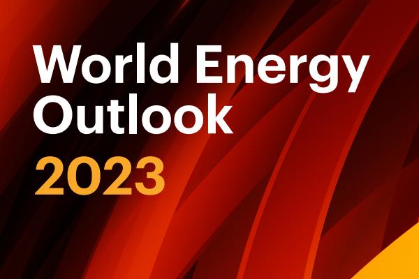 IEA：到2030年全球电动汽车数量将是现在的近10倍（附报告全文）