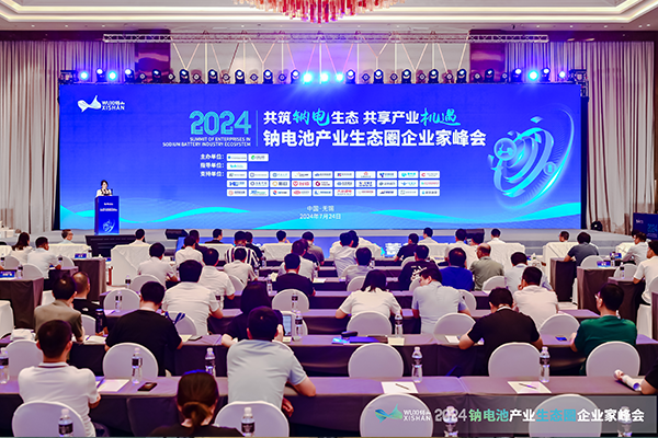 2024中国（无锡）钠电池产业生态圈企业家峰会现场