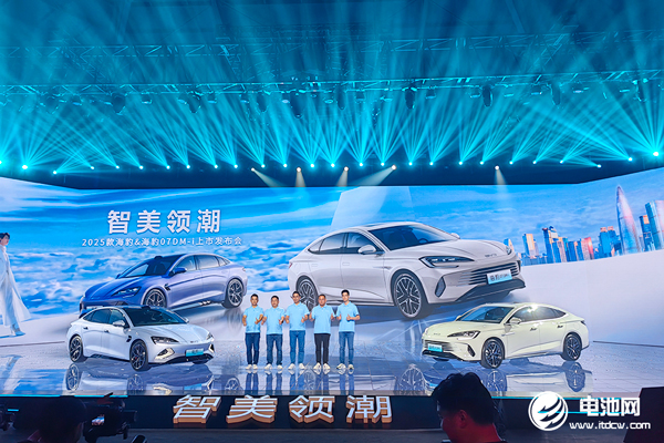 新能源汽车,比亚迪,海豚