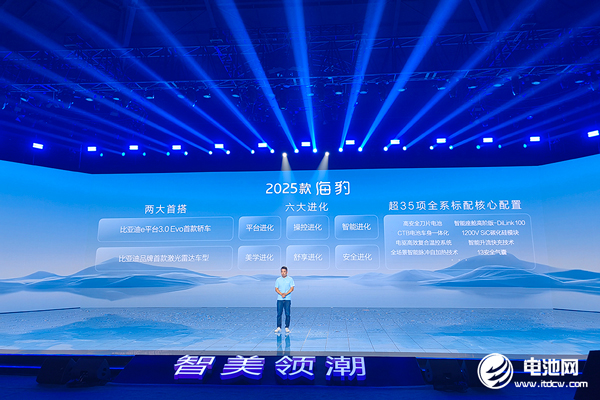 新能源汽车,比亚迪,海豚