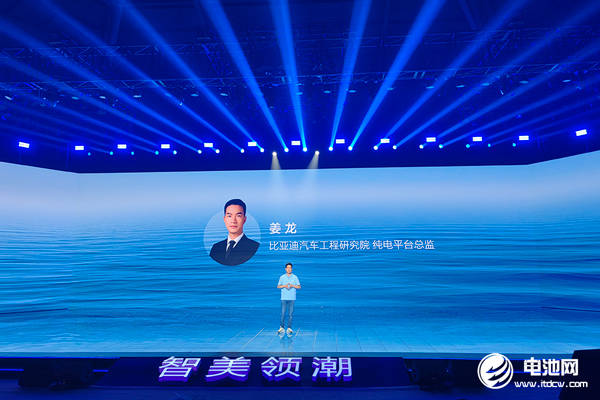 新能源汽车,比亚迪,海豚