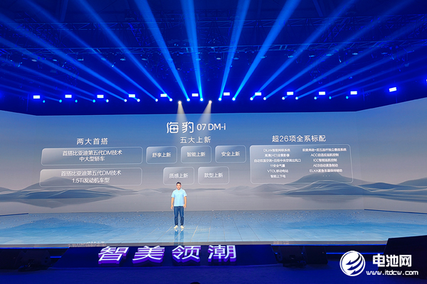 新能源汽车,比亚迪,海豚