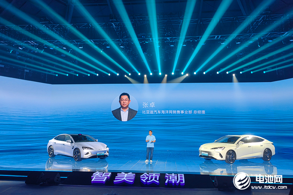 新能源汽车,比亚迪,海豚