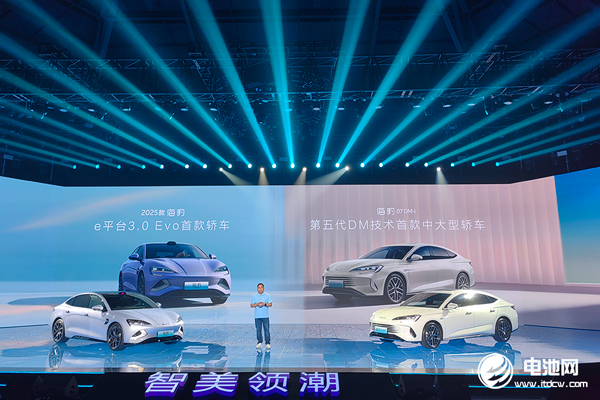 新能源汽车,比亚迪,海豚