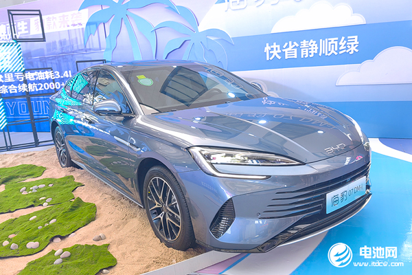 新能源汽车,比亚迪,海豚