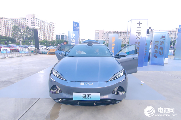 新能源汽车,比亚迪,海豚