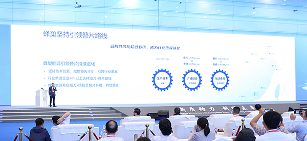 锂电池,杨红新,短刀电池