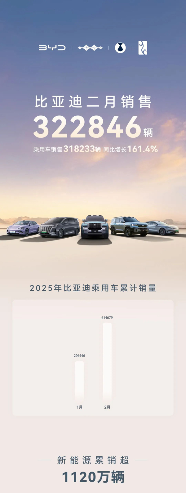 比亚迪汽车：2月份销售322846辆 同比增长164%