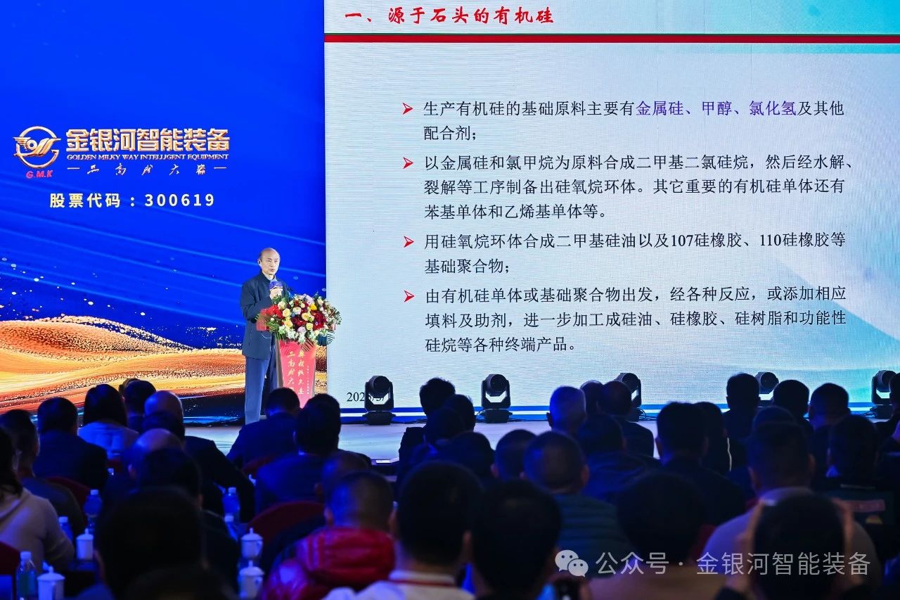 杨晓勇先生作主题为“中国有机硅工业运行情况与新能源领域应用展望” 演讲