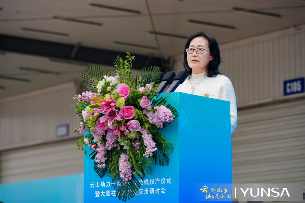 中国汽车动力电池产业创新联盟 秘书长许艳华