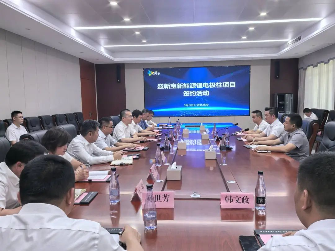 湖北盛新宝新能源锂电极柱项目举行签约