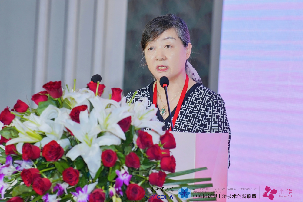 保力新能源科技股份有限公司董事长高保清