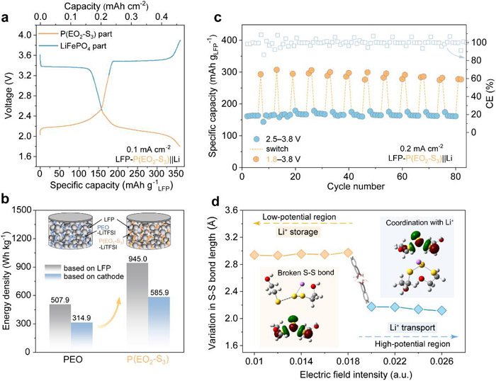 图2. 一体化聚合物的电化学性能及电位依赖的离子传输-储存机制
