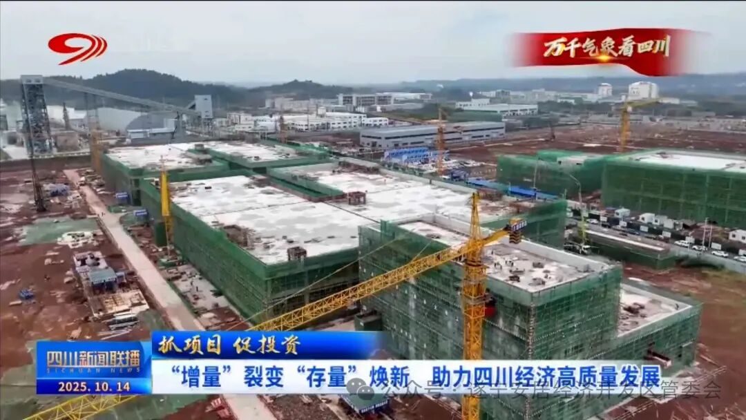 60亿元!四川遂宁一锂电池项目将于今年底投产 60亿元!四川遂宁一锂电池项目将于今年底投产