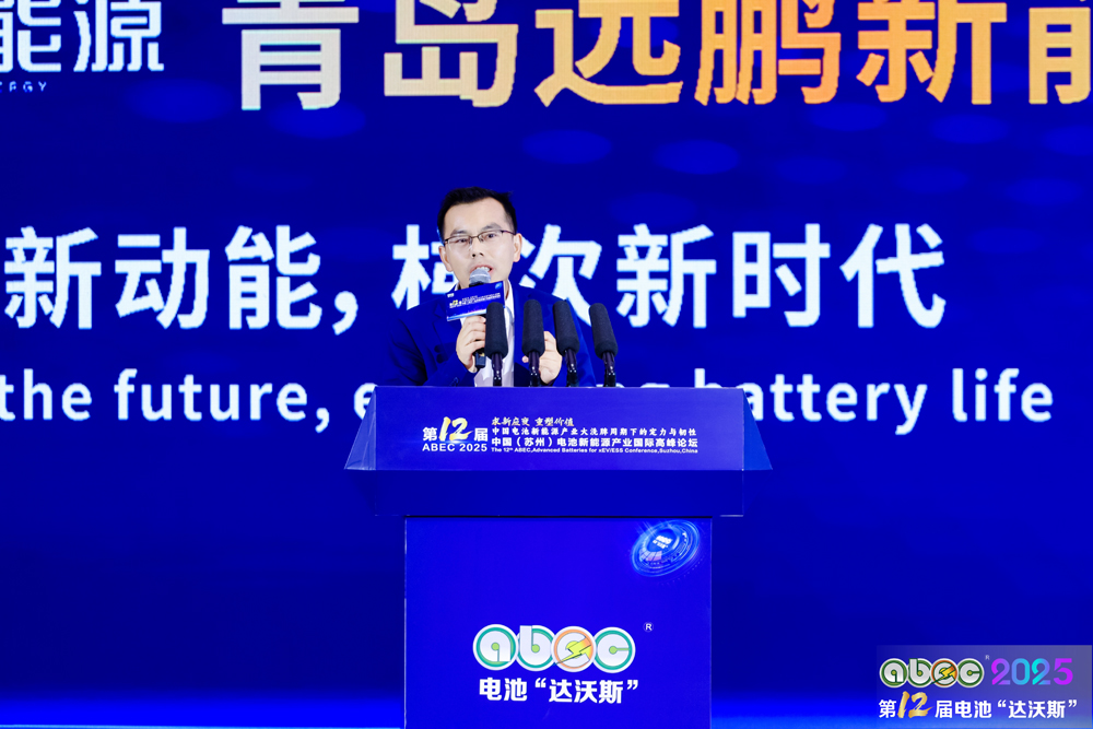 伊维经济研究院研究部总经理/中国电池产业研究院院长吴辉 伊维经济研究院研究部总经理/中国电池产业研究院院长吴辉