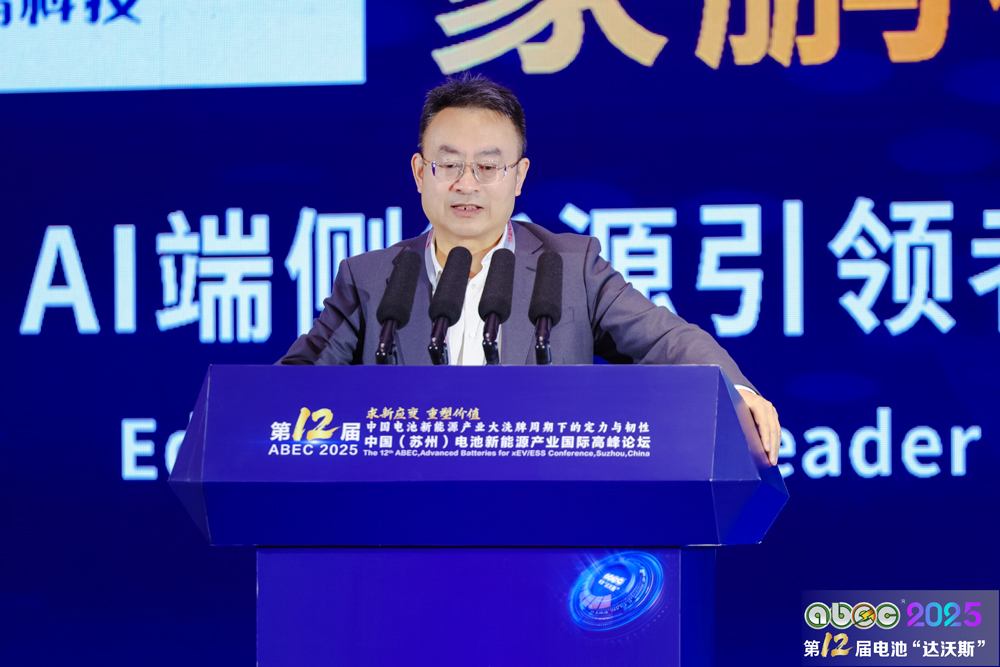 星恒电源股份有限公司资深副总裁兼首席技术官王正伟