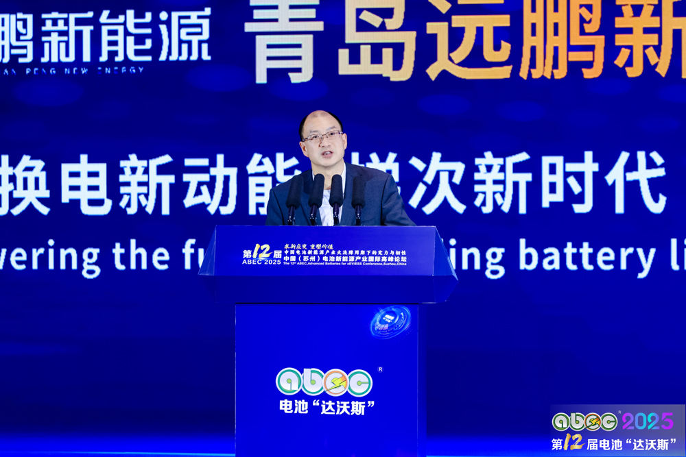 中国有色金属工业协会锂业分会副会长张江峰