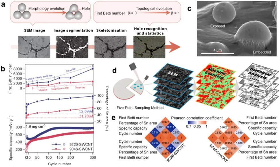 图2 | 拓扑形貌演变和暴露效应。