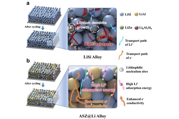 图1 ASZ@Li复合负极结构示意图