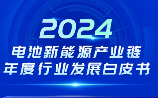 预售8折！2024年中国/国际电池新能源行业发展