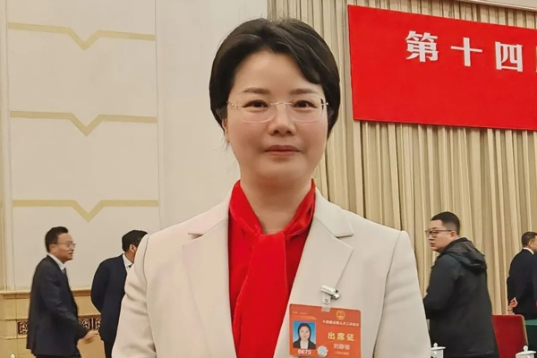中创新航刘静瑜：建议构建国家级锂电池