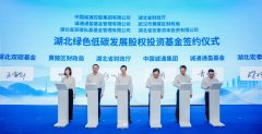 主要投向新能源等领域！我国又一百亿级