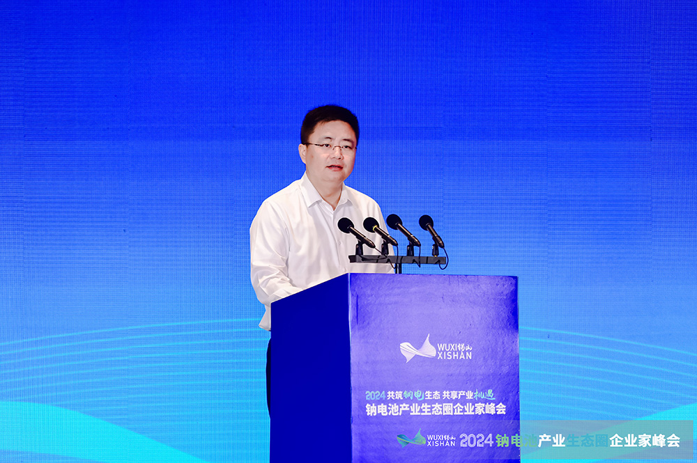 顾文浩：培育新质生产力 加快“钠电+电