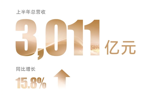 比亚迪发布半年报：营收超3011亿 研发投