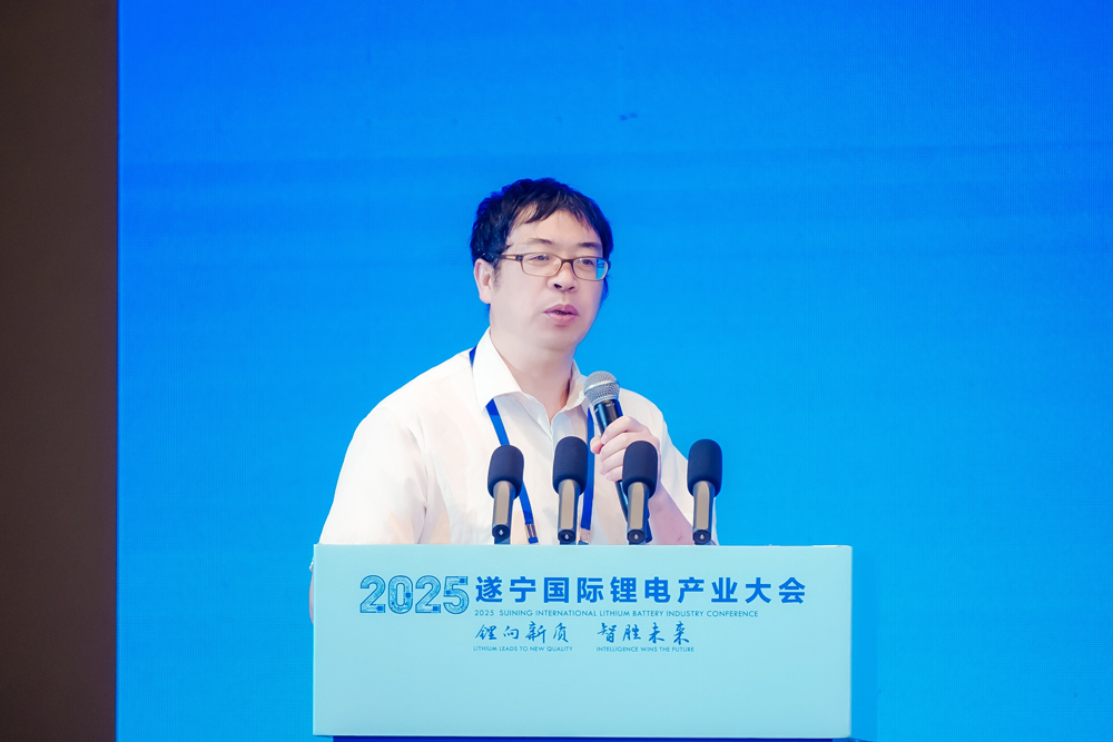吴宇平：储能才真正起步 破解电池技术安全