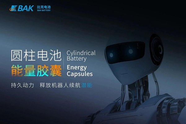 今年人形机器人出货量或达3万台 比克推