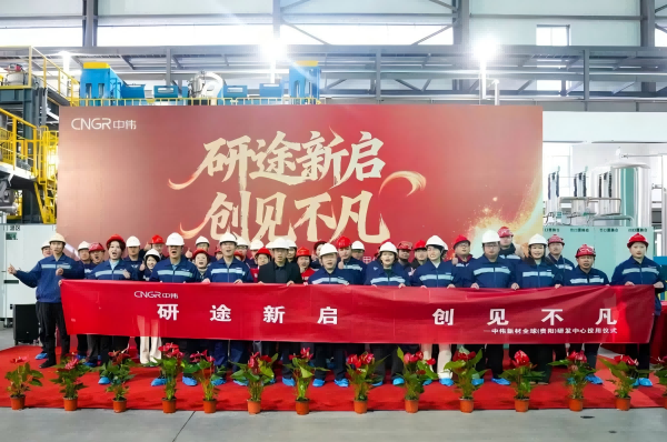 全球最大锂盐湖保卫战败了！2025年中国正极